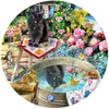 Image de Sunsout Puzzle Chat Kitty Reflections - 500 Pièces Carton