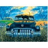 Image de Sunsout Puzzle Spooky Tooth - Puzzle 1000 Pièces