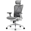 Image de SIHOO Chaise de bureau chaise de bureau ergonomique fauteuil à dossier haut respirant avec accoudoirs 3D et soutien lombaire