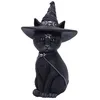 Image de Nemesis Now - Figurine Chat Sorcier Purrah 30 cm