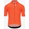 Image de Maillot Q36.5 Gregarius Pro Signature manches courtes orange - XL