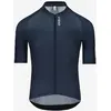 Image de Maillot Q36.5 Gregarius Pro Signature manches courtes bleu marine - S