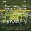 Image de Bach - Christmas Oratorio / Claron Mcfadden, Bernarda Fink, Christoph Genz, Dietrich Henschel, John Eliot Gardiner, Monteverdi Choir en occasion ou reconditionné