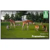 Image de Télévision extérieure - SYLVOX Frameless Pro 55 (140 cm) - 2000 nits - 4K UHD - IP56 étanche