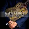 Image de The Blues Came CallinÂ¿(Cd+Dvd Digi) en occasion ou reconditionné