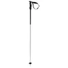 Image de Batons De Ski Volkl Phantastick Iii White Blanc Homme