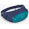 Image de Sac banane Osprey Daylite Waist bleu marine vert
