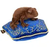 Image de Figurine en peluche Chocogrenouille Harry Potter - Bleu/marron
