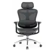 Image de Chaise de bureau SIHOO Doro C300-Accoudoirs 3d,Soutien Lomb. Auto-ajust.,Mesh,150kg,Noir DORO C300