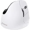 Image de Evoluent VerticalMouse 4 Right Mac - souris verticale - Bluetooth - blanc