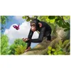 Image de Zoo Tycoon Xbox One allemand