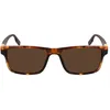 Image de Lunettes de soleil - Converse - CV520S-RISE-UP-242 - Marron - Wayfarer - Protection UV 3