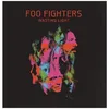 Image de Wasting Light en occasion ou reconditionné