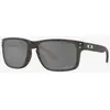Image de Lunettes Oakley Holbrook Woodgrain avec verres Prizm Black Polarized