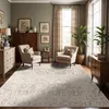 Image de LIVABLISS Tapis de Salon à Poils Courts Doux Vintage Oriental LOTUS 200x275cm Gris/Beige
