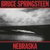 Image de Nebraska en occasion ou reconditionné