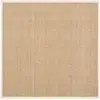 Image de Tapis herbe de mer neutre 152 x 152 cm