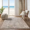 Image de LIVABLISS Tapis Lavable Machine Vintage Oriental CLARA 200x275cm Marron/Gris