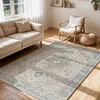 Image de LIVABLISS Tapis Lavable Machine Vintage Oriental RIVER 200x275cm Marron/Bleu
