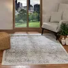 Image de LIVABLISS Tapis de Salon à Poils Courts Doux Vintage Oriental HAZEL 160x215cm Gris/Ivoire