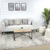 Image de LIVABLISS Tapis de Salon à Poils Courts Doux Scandinave Moderne AMANDINE 200x275cm Ivoire/Noir
