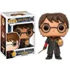 Image de Figurine Harry Potter - Harry Potter with Egg Exclusive Pop 10cm