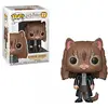 Image de Figura Pop Harry Potter S5: Hermione Como Gato