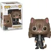 Image de Figurine Funko Pop! Harry Potter : Hermione en chat