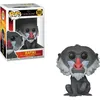 Image de POP Disney: Mammoth Cave - POP 5