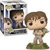 Image de Figurine Funko Pop! Star Wars: ESB- Training Luke with Yoda