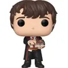 Image de Figurine Funko Pop! HP: HP- Neville w/Monster Book