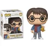 Image de Figurine POP! Harry Potter - Harry en vacances - N° 122 FUNKO