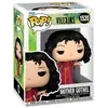Image de Figurine Pop Des Mechants Disney - Mere Gothel