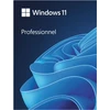 Image de Microsoft Windows 11 Professionnel 64 bits (clé USB)