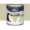 Image de Laque Valénite Argile 05 L