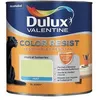 Image de DULUX VALENTINE COLOR RESIST - Peinture intérieure murs et boiseries - 1L - vert fluorine