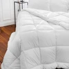 Image de Couette en Coton Castor 200g/m², Toison d'Or 200 x 200 cm - Toison d'Or