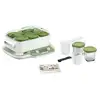 Image de Yaourtière Multi Delices Express & Vegetal - 6 Pots - YG660310 SEB