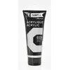 Image de Peinture Acrylique 100 Ml - Argent Iridescent N°029