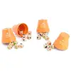 Image de C'est Des Salades - Orange - Jeu De Bluff