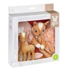 Image de Coffret de naissance doudou