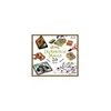 Image de Coffret de magie pour enfant - DJECO - Fabuloso magus - 20 tours - Accessoires et livret dexplications inclus