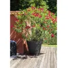 Image de EDA PLASTIQUE Pot de fleurs Toscane - 356 L - Gris anthracite
