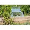 Image de EDA PLASTIQUE Serre de culture VEG&Table  MAX - Pour espace potager - 748 x 548 x 265 cm - Naturel