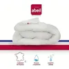 Image de ABEIL Couette légère ICEBERG 200x200cm
