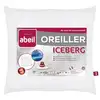 Image de Lot De 2 Oreillers Moelleux Iceberg 60x60cm