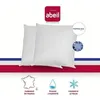 Image de ABEIL Lot de 2 Oreillers moelleux ICEBERG 60x60cm