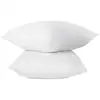 Image de Lot De 2 Oreillers Fluffydream 60 X 60 Cm