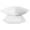 Image de ABEIL Lot de 2 Oreillers FluffyDream® 60 x 60 cm