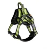 Image de Harnais pour chien Martin Sellier - jaune - Jaune - XL